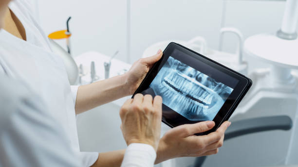 Cropped shot of professional dentist showing jaws and teeth