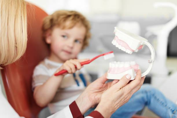 Dentist showing dental jaw model to little patient